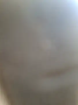 Savonani Live XXX-chat