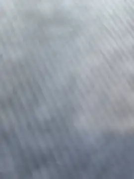 PopD69 élő XXX-chatje