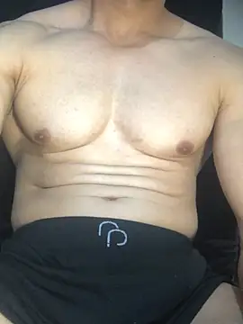 Show de guh2026 na webcam