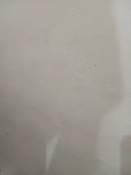 Tanha18 现场XXX聊天
