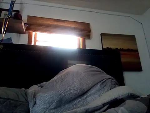 Blkstylion's Webcam Show