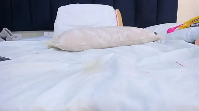 mayaevansmg's Live XXX Chat