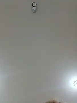 Chat +18 de Laurinhasafad ao vivo