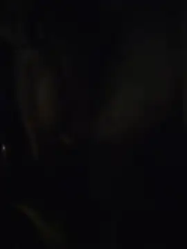 HaKaKing 网络视讯表演