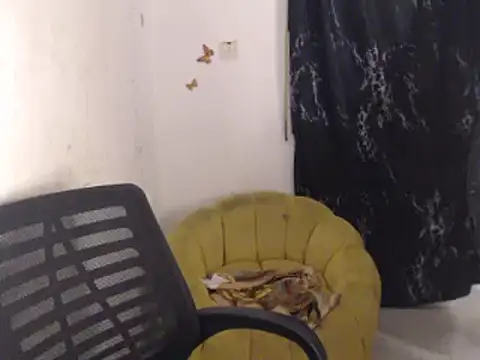 Živý XXX chat Eboni_hotboobs_