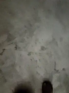 frhyd Live XXX-Chat