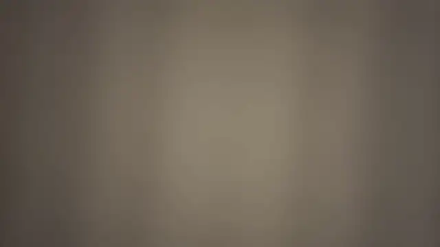 Hayami_Li 라이브 XXX 채팅