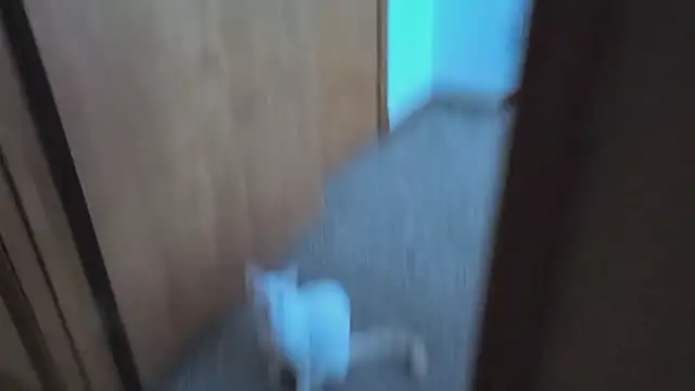 Opondestre00420 élő XXX-chatje