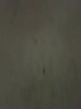 عرض كام Wounka_1