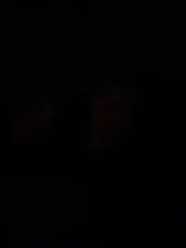 Chat +18 de AsianBoy_Sunny ao vivo