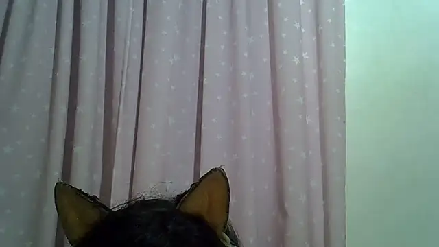 Chat +18 de SkinnyKitten ao vivo