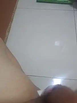 Show de webcam de LucassJR