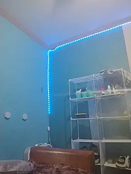 הופעת וובקאם של ReallyReallyReal