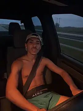 הופעת וובקאם של WavyAlloy30
