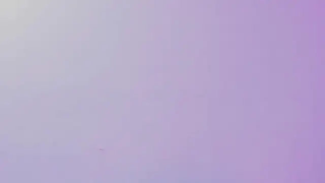 Lin_meliflua_ live XXX chat
