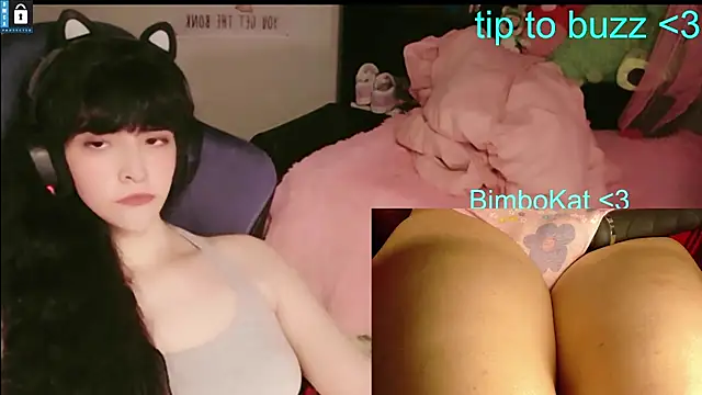 BimboCat: απευθείας συνομιλία ΧΧΧ