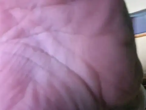 Show webcam de Toycockhot