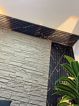 Lander_Cruz 现场XXX聊天
