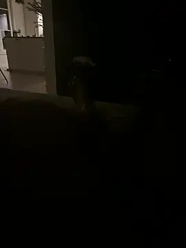 mrbigballs' Webcam Show