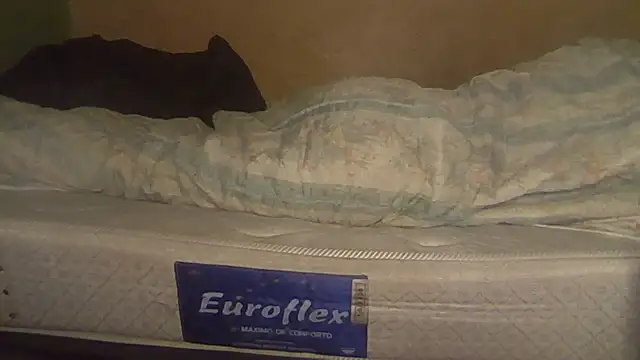 Chat +18 de joaopimto0 ao vivo