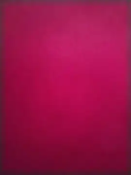 Popzbo's Webcam Show
