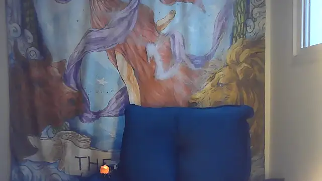 צ'אט XXX בשידור חי של Apofenia