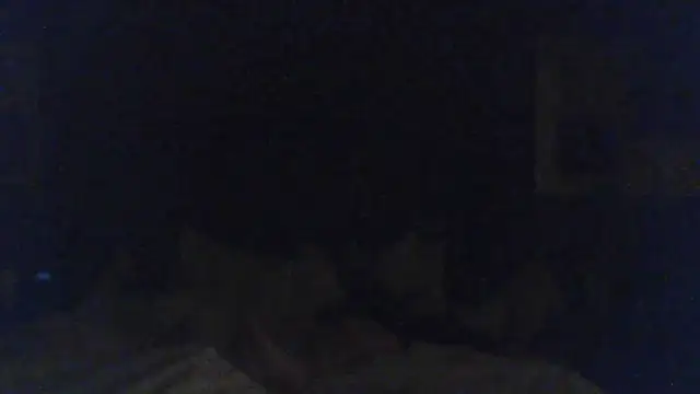 J-Dubb Live XXX-chat