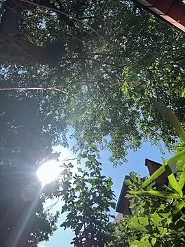 Czat XXX na żywo – CherryBombs-