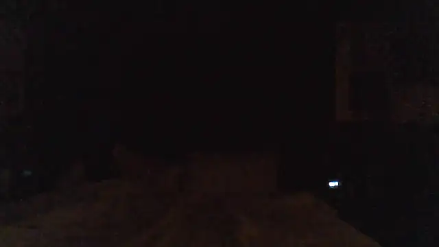 J-Dubb Chat XXX live