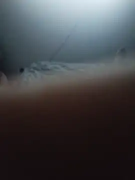 MorbeckDissn Webbikameraesitys