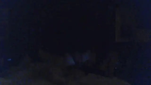 J-Dubb Live XXX-Chat