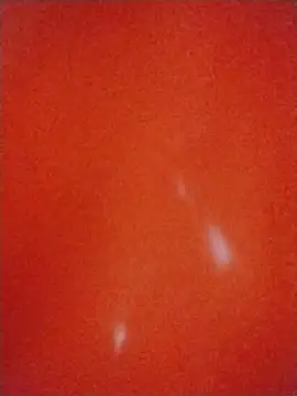ReallyReallyRealのライブXXXチャット