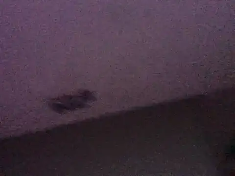 DJThcK's Webcam Show