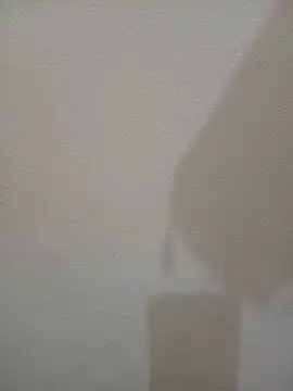 Tanha18's Live XXX Chat