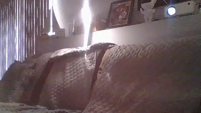 Show webcam de DJBJ4445