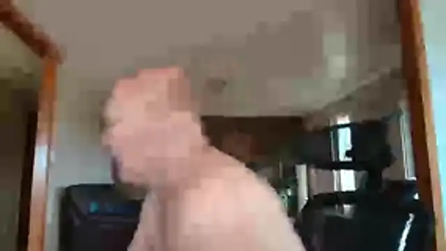 BasicAnt Live XXX Chat
