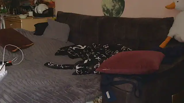 Medjik_lool Live XXX-chat