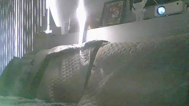 DJBJ4445's Webcam Show