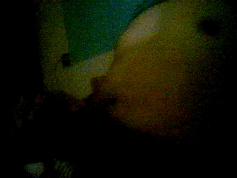 Ahorkaruka Chat XXX in diretta