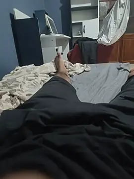 Show de webcam de walised