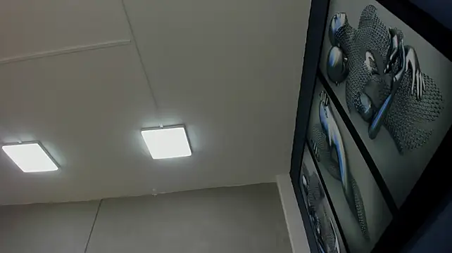 แชท XXX สดของ Charlie___Musk