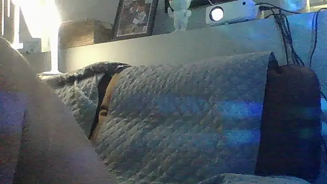 DJBJ4445n Webbikameraesitys