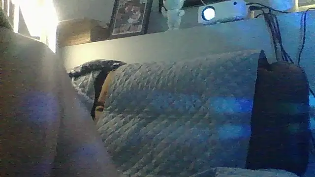 Show Webcam de DJBJ4445