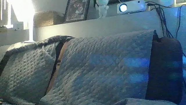 Show webcam de DJBJ4445