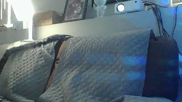 DJBJ4445n Webbikameraesitys