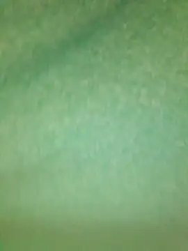 LeoMaduroSP Chat XXX live