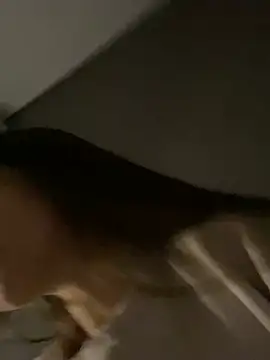 XXX chat uživo modela NotYourMiss