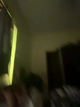 sstuv Webcam-Show