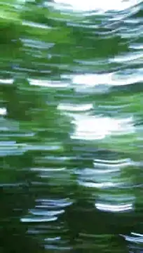 Živý XXX chat mischievousprince_