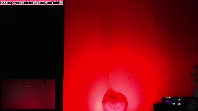 Guyst049 Live XXX-chat